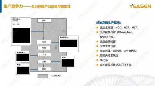 翌圣生物ivd rdc 量身定制 分子诊断原材料,促进上下游企业深度合作